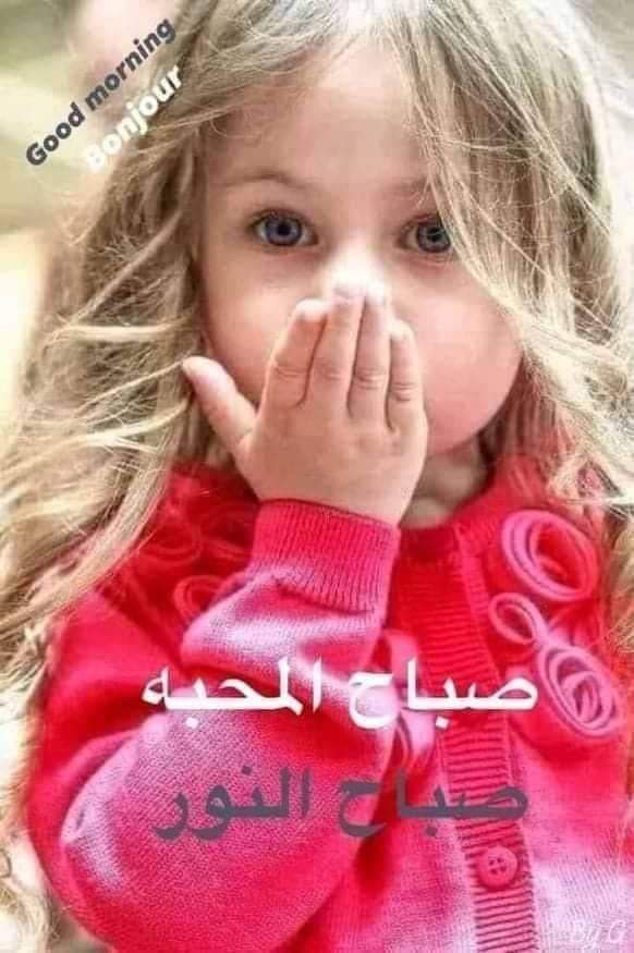 Mohanad aloran_DJDUF