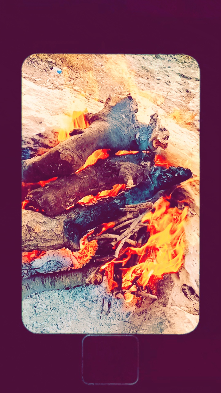 ��� ���� ������_DhzVF
