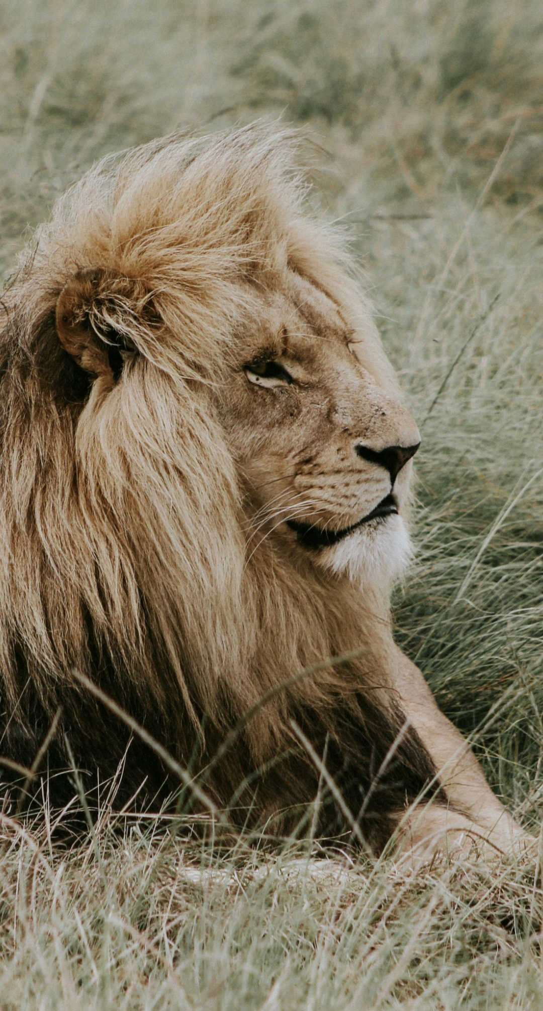 Omar Alhroub Omar_MROVi