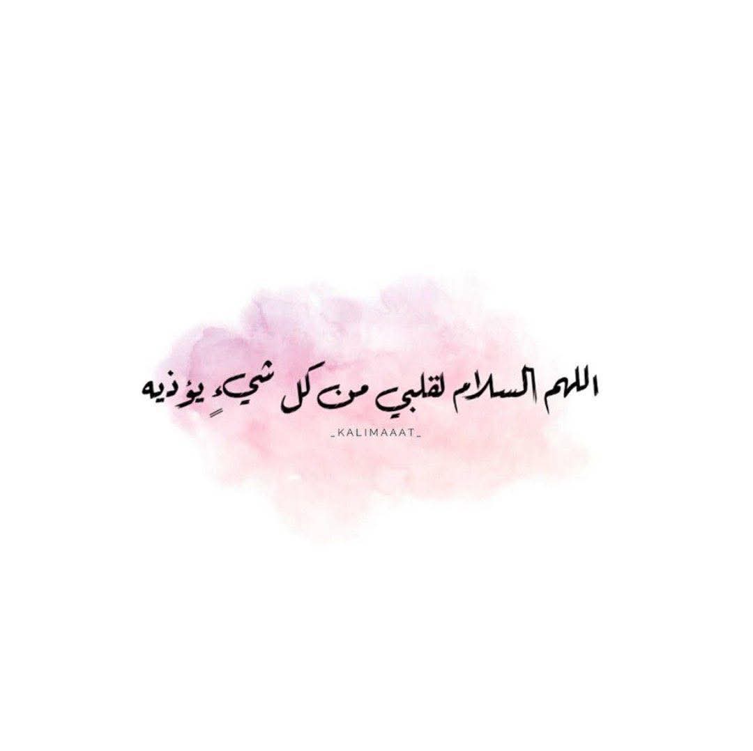 �� ���� ��� ����_0w4NT