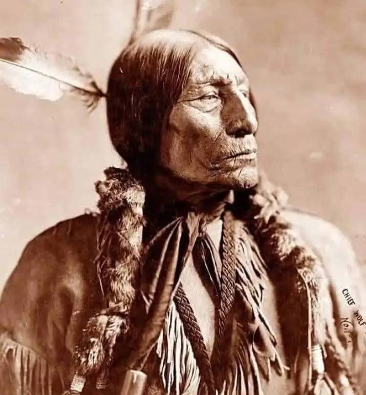 ������� ������ ��� �����_D35xm