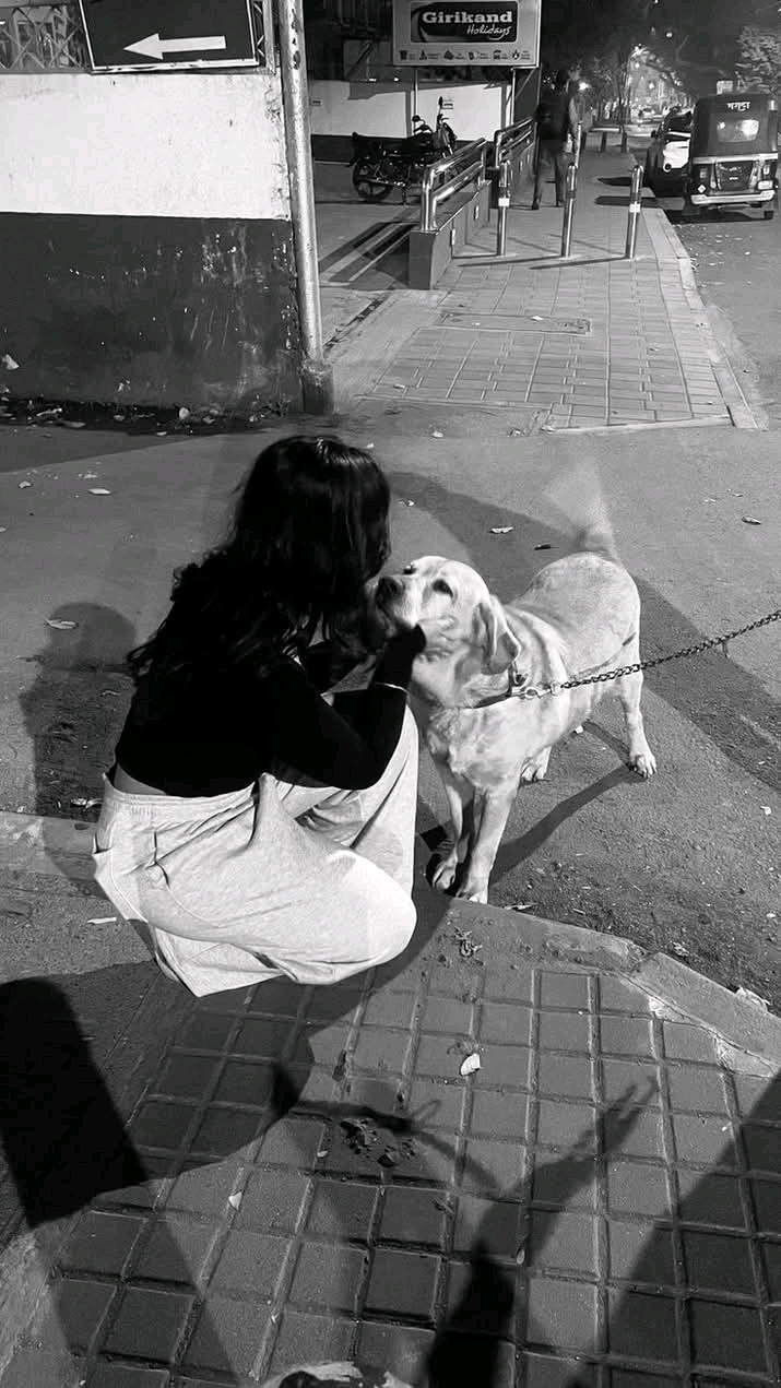 ���� ����.__Bx_p