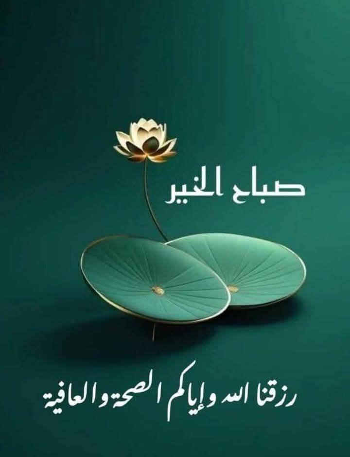 ���� �������_i48Ts